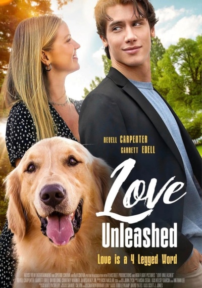 Фильмы онлайн