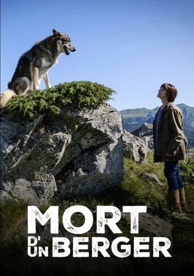 Фильмы онлайн