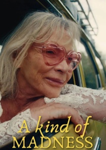 Своего рода безумие